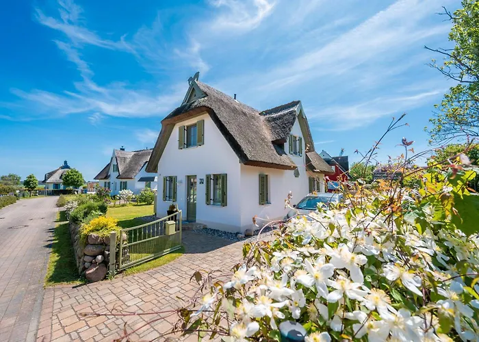 Seeschwalbe 14 Ummanz